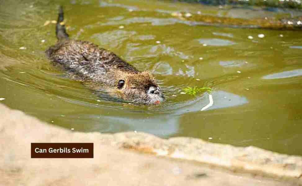 The Bluestocking Women’s Pub: Where Clever Women Sit and Think, While Gerbils Run the Bar.