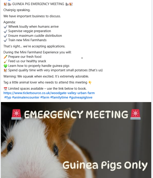 Thread 43 Starmer : il ritorno della luce e la semina del Lathyrus odoratus