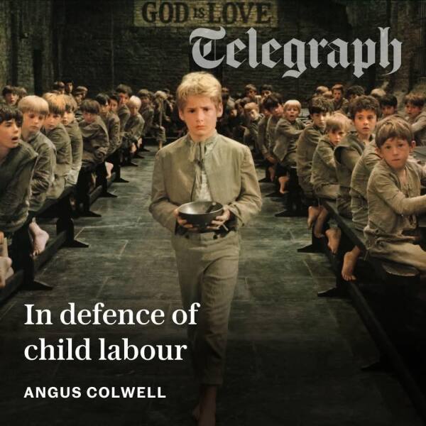 Thread 43 Starmer : il ritorno della luce e la semina del Lathyrus odoratus