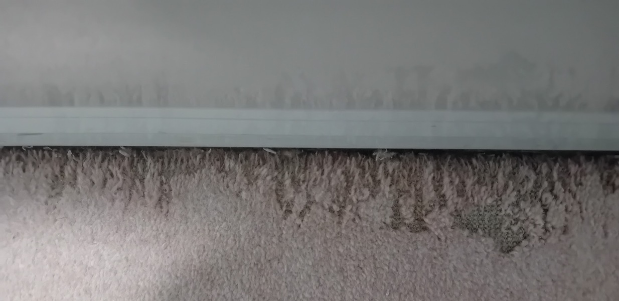 Odd Scrapings on Bathroom Carpet
