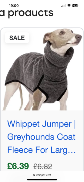 Clothes for Saluki/Whippet