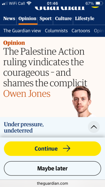 UK ban on Palestine Action unlawful, high court judges rule