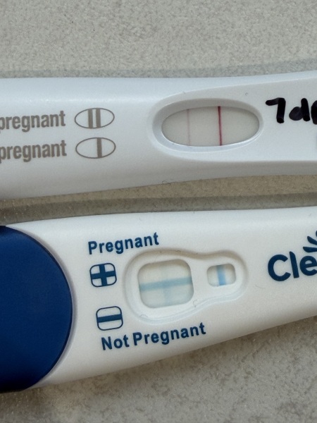 IVF pregnancy test