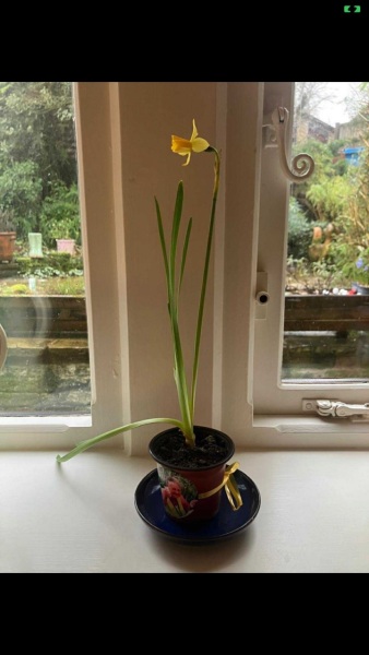 For Anyone Needing Support After Losing a Parent. Very Supportive Thread (September 2025)