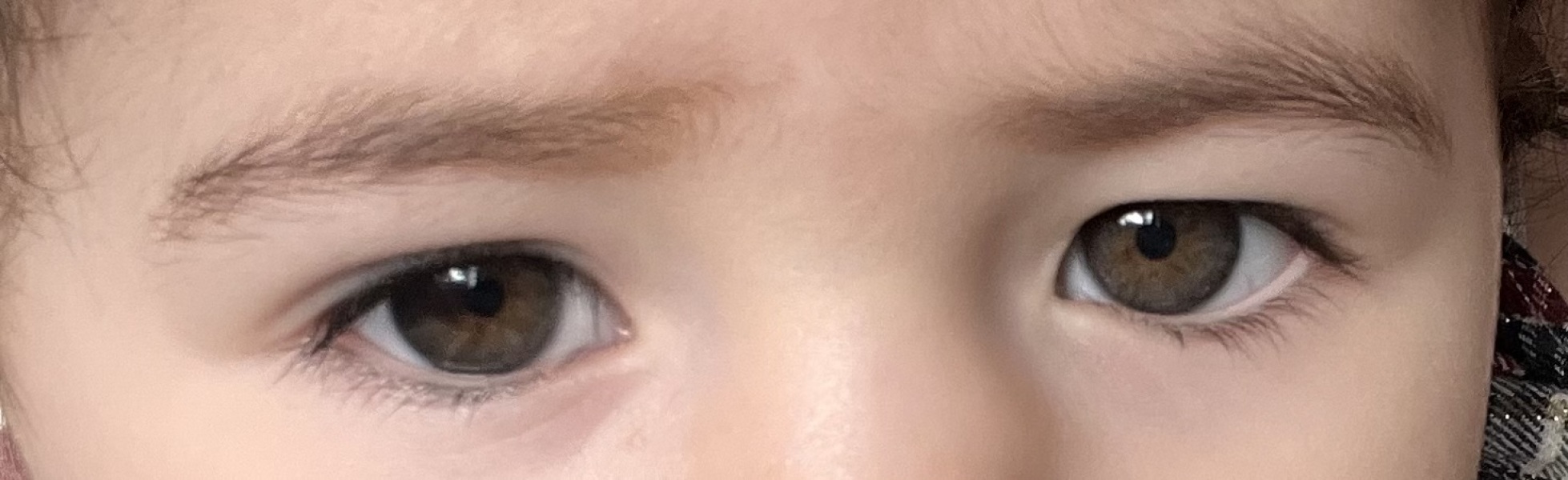 Eye colour at 16 months old