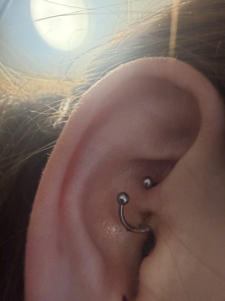 Daith piercing healing