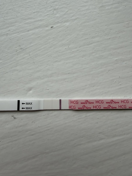 The Hopeful Hearts Circle 1  - December 2025🎄💖