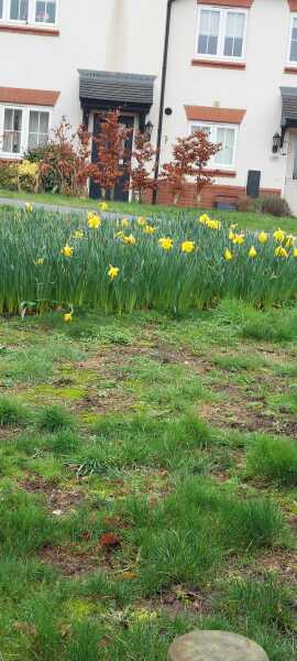 Year round Nigel Slater discussion thread - Part 3