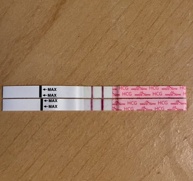 15 to 16 DPO line progression