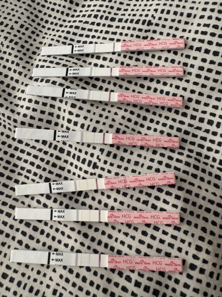 4 weeks today - lines too faint?