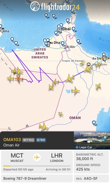 Anyone else in Dubai on holiday? AIBU to be panicking with all the flights cancelled?