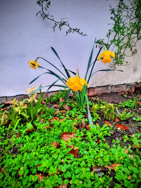 Year round Nigel Slater discussion thread - Part 3