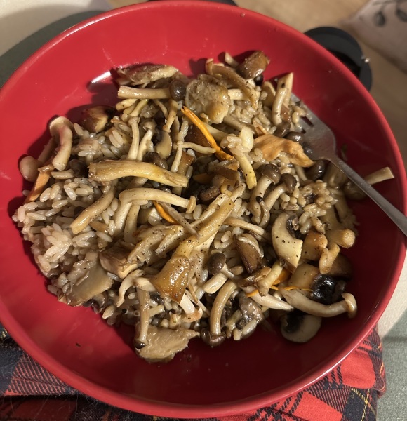 What did you have for dinner tonight?