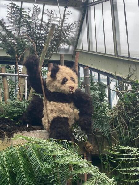 The Great Cancer Recovery part 5