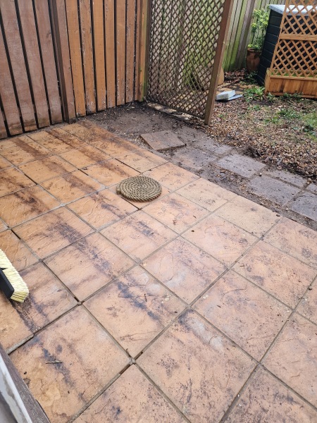 The Bluestocking Women’s Pub: Where Clever Women Sit and Think, While Gerbils Run the Bar.