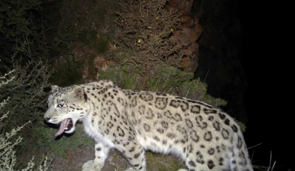 The Bluestocking Women’s Pub: definitely full of ludicrous halfwits who refuse to get a grip (with unionised gerbils)