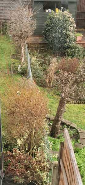 To want to put up a fence but it's not "my side"
