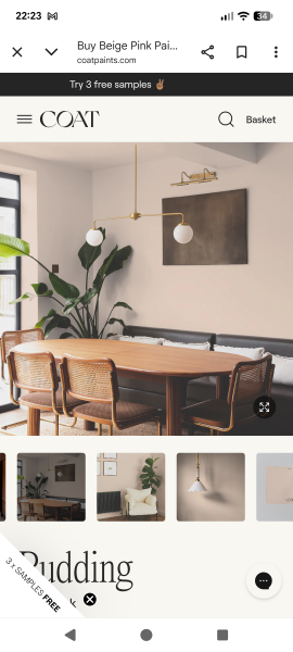 Recommend a paint colour to me