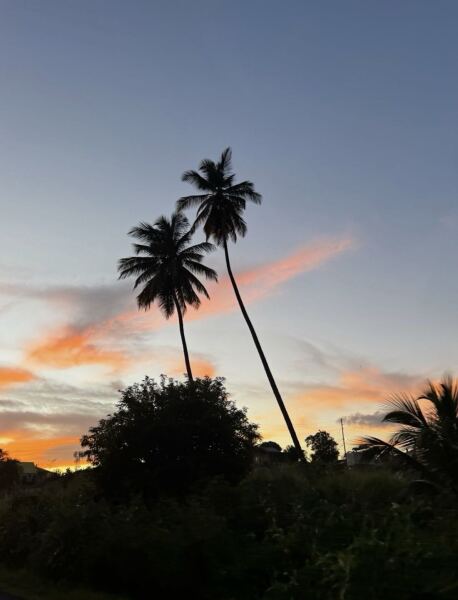 The Dominica 🇩🇲affect is so strong!