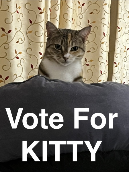 The Bluestocking Women’s Pub: Where Clever Women Sit and Think, While Gerbils Run the Bar.