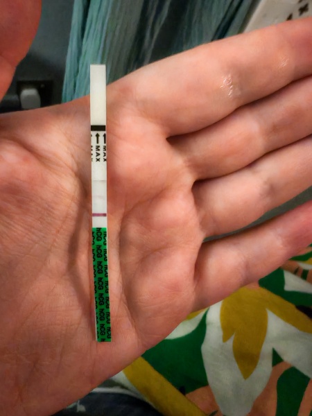 Could this test possibly be correct?