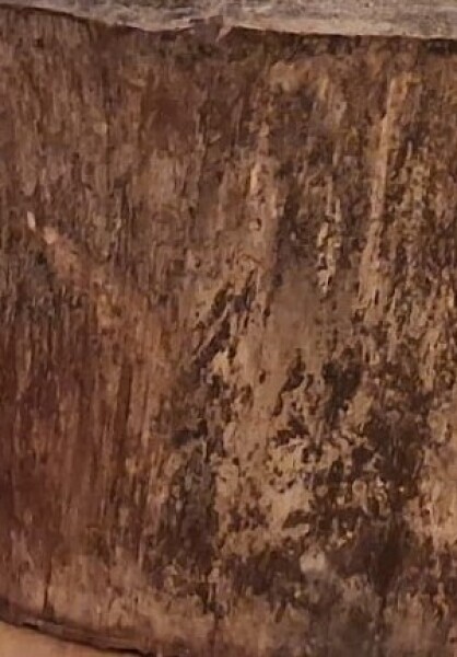 Scripture to confirm that Jesus Christ is the Only true Son of God.,