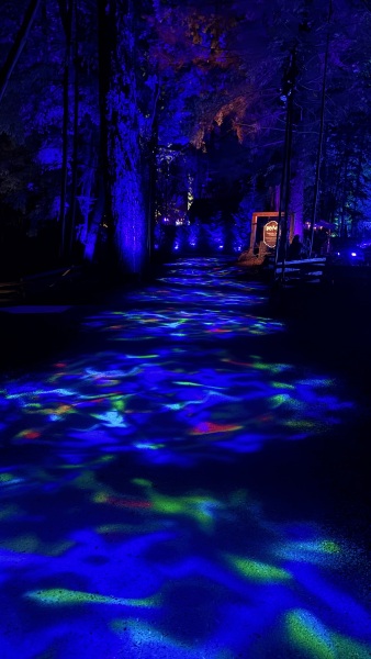 Daily Project Round 9