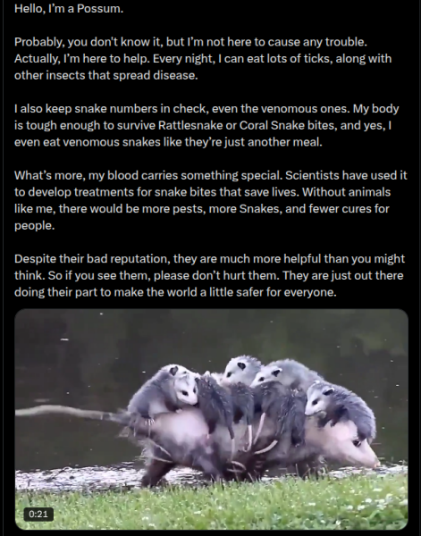 The Bluestocking Women’s Pub: Where Clever Women Sit and Think, While Gerbils Run the Bar.