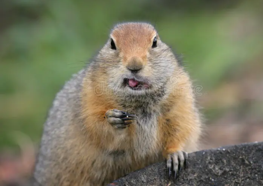 The Bluestocking Inn, cocktails and cocoa and all