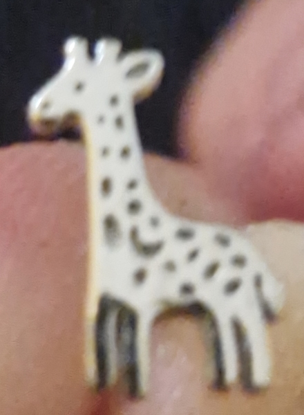 Help me find these earrings!