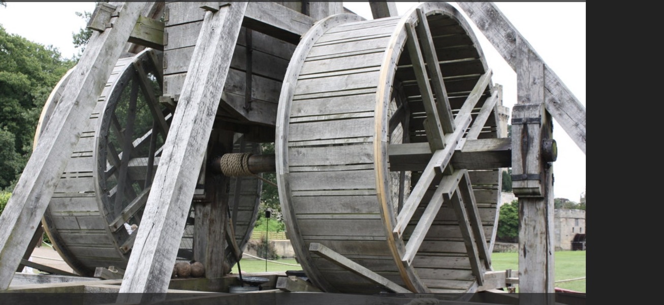 Fuck it. Who wants to recreate the Isle of the Amazons with me?