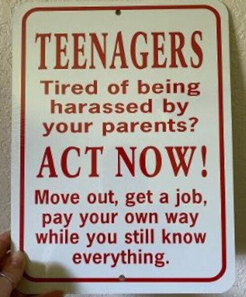 15 year-old know it all son