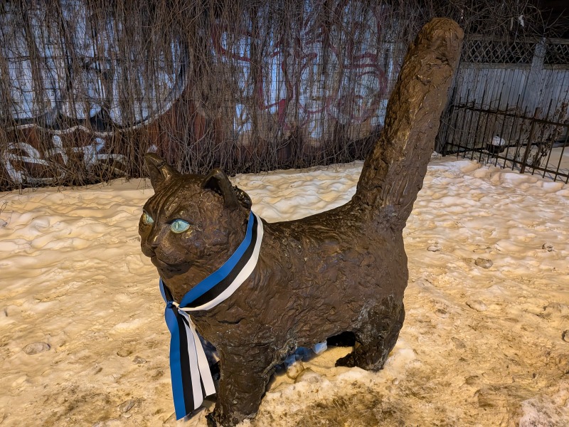 Carry On Catting - the Excellent Cats do what they do best