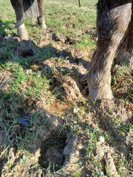 Daily Project Round 9