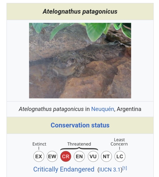 Sandie Peggie vs NHS Fife Health Board and Dr Beth Upton, following Employment Tribunal judgment - thread #61