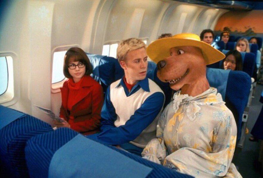Dogs & Aeroplanes