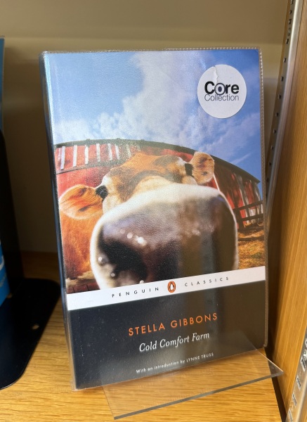 My year with Stella...