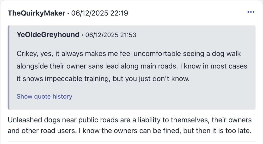 Parking when there are dogs around