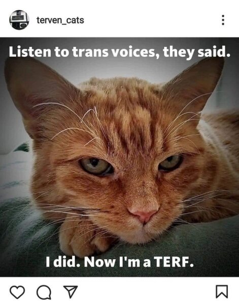 “Heated Rivalry” author Rachel Reid on J. K. Rowling - “the bar is pretty high in how evil you have to be,” “ I’m extremely the opposite of everything she believes”