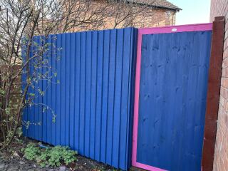 What have you done in the garden today? Part 7