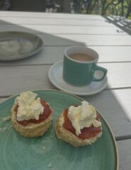 Let's settle this with a vote, scones,jam first or cream first ?