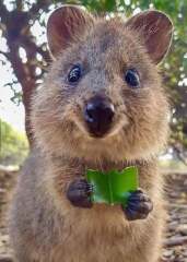 The Bluestocking Women’s Pub: Where Clever Women Sit and Think, While Gerbils Run the Bar.