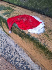 Year round Nigel Slater discussion thread - Part 3