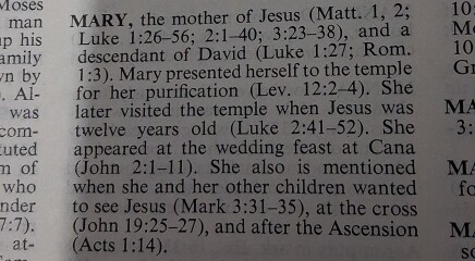 Scripture to confirm that Jesus Christ is the Only true Son of God.,