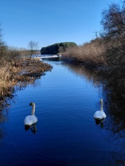 Thread 6? Good grief..what are you up to today if you have chronic illness?