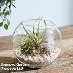 Where can I buy amazing-looking artificial plants?