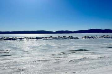 Come and tell us your dull and unexciting news 35: Calmly through the day