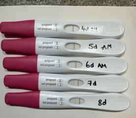 IVF - Test Line Progression - Chemical?