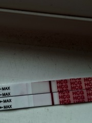 Whispers of lines or delusional?