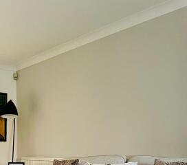 Recommend a paint colour to me